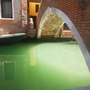 The Secret Garden In The Very Heart Of Appartement Venise